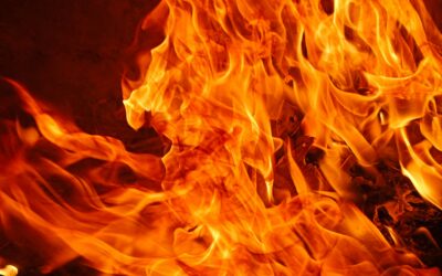 When your Child has a Fever: Tips from Den