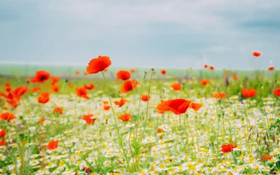 Five Tips for a Healthy Spring